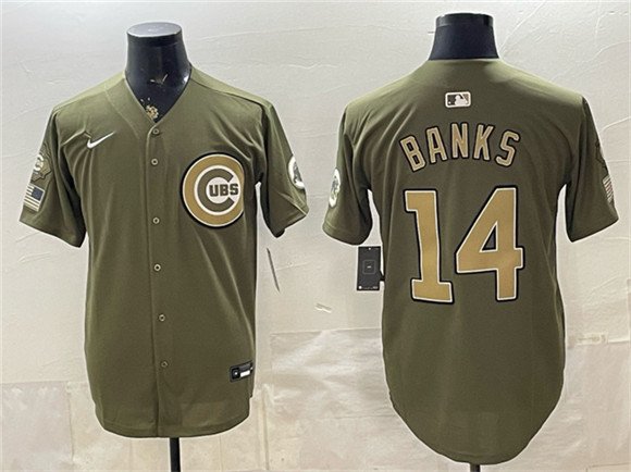 Men's Chicago Cubs 14 Ernie Banks Royal Olive 2026 Armed Forces Day Salute To Service Stitched Baseball Jersey